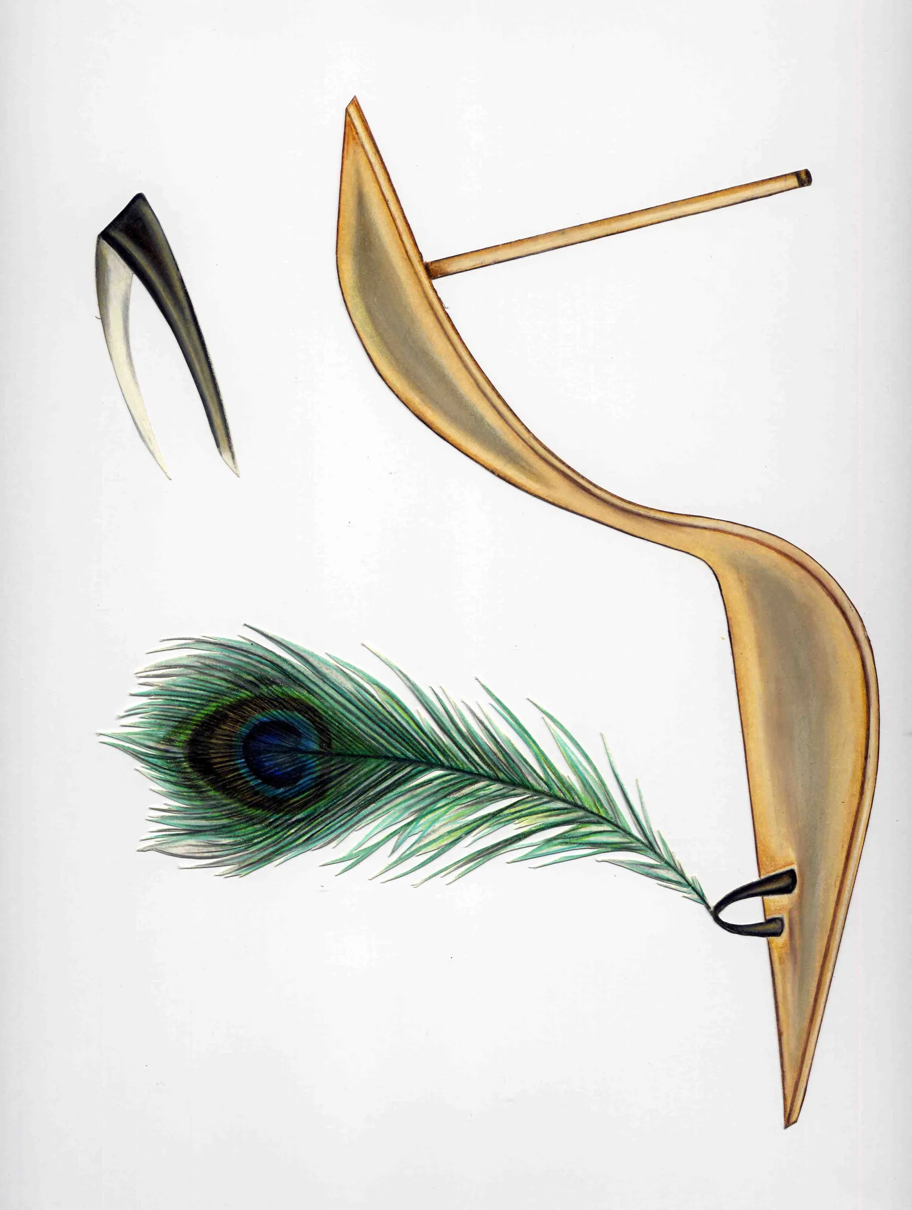 Peacock — peacock-sandal-thong