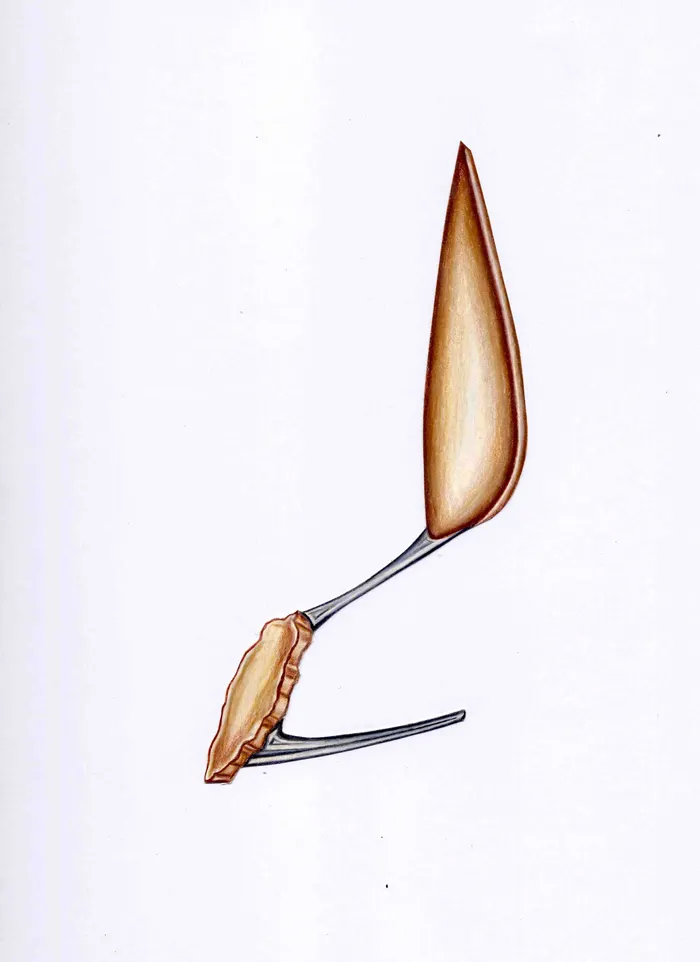 Rock Flint Cliff heel