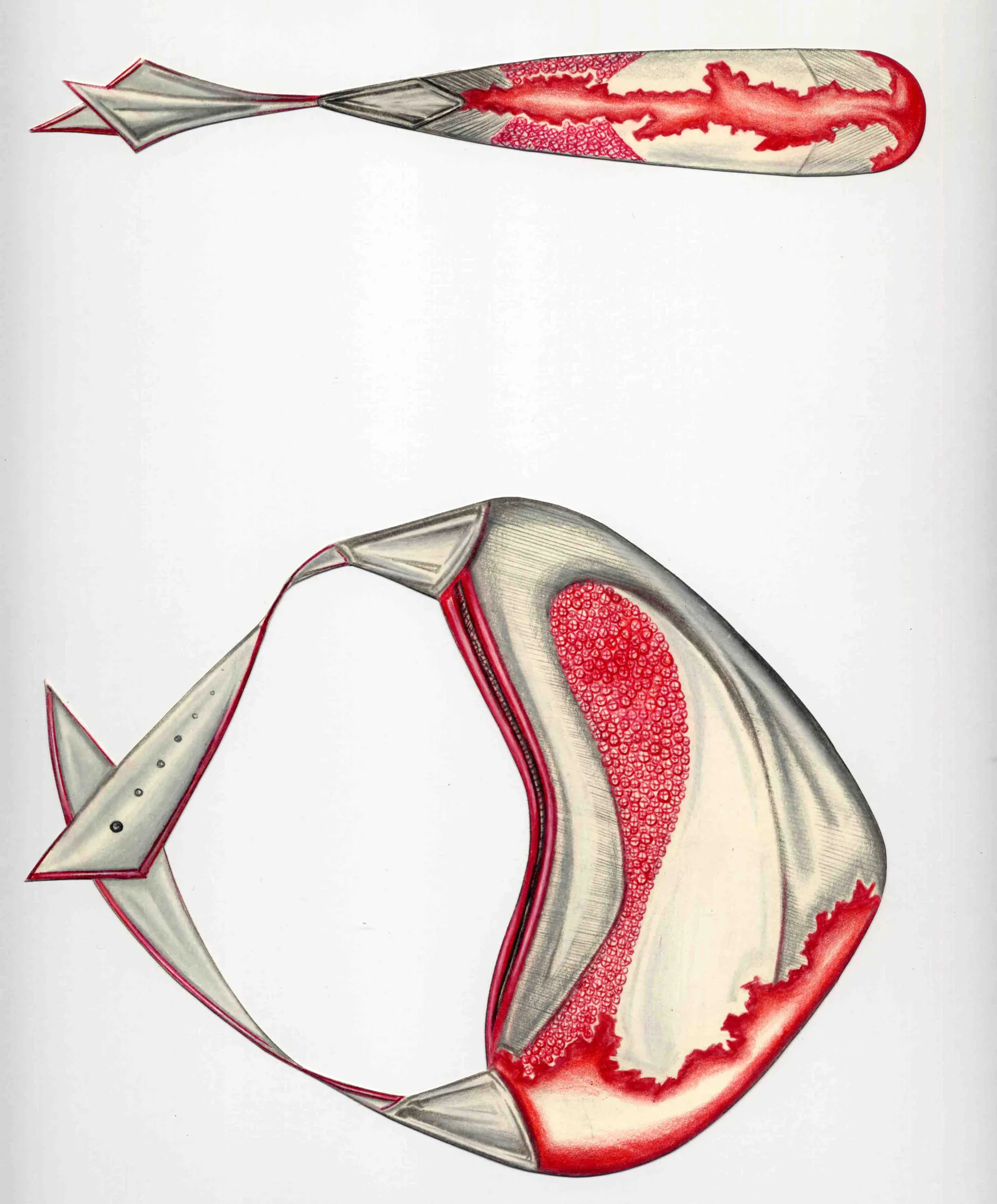 Space — space-red-bag