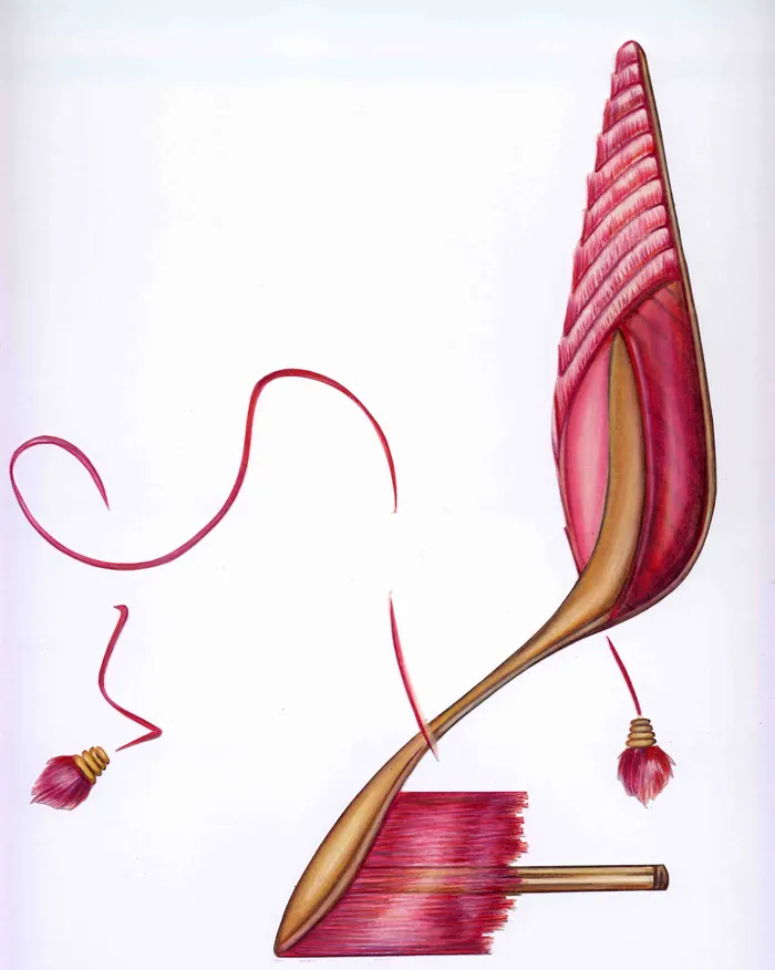 Tassels
